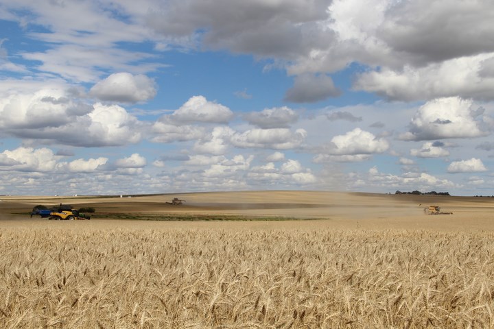 foto